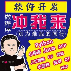 java计算机程序设计python代编php网站asp安卓app软件开发net定制